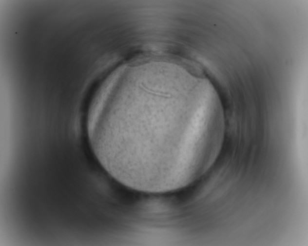 X0000092080738200709262104