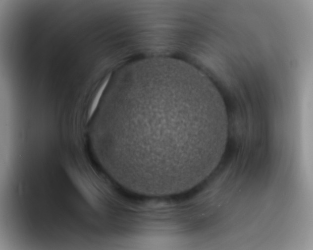 X0000092080742200709262104