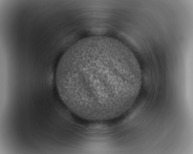 X0000092080745200709262104