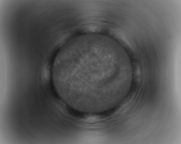 X0000092080746200709262104