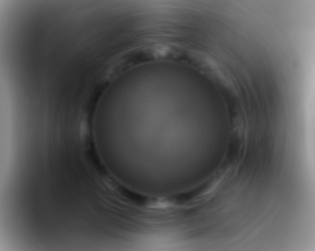 X0000092080754200709262104