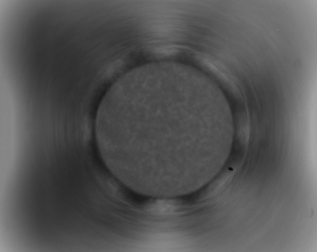 X0000092080758200709262104