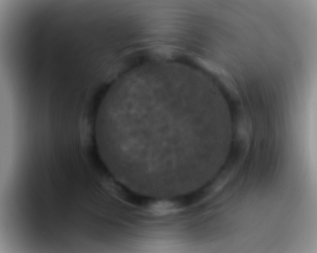 X0000092080759200709262104