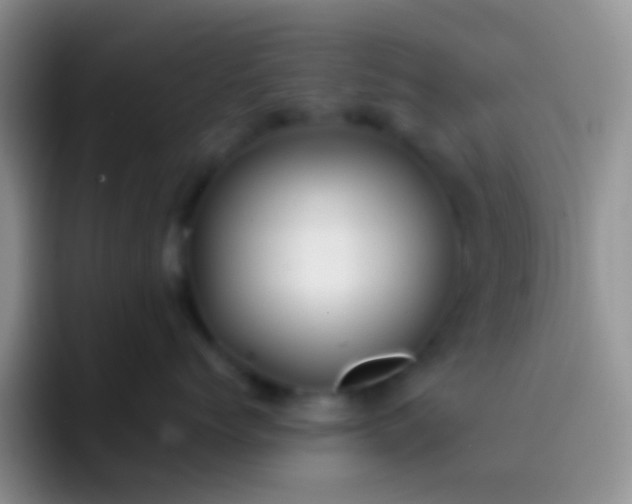 X0000092080768200709262104