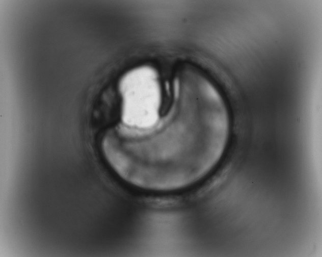 X0000092080769200709262103