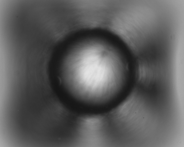 X0000092080770200709262103