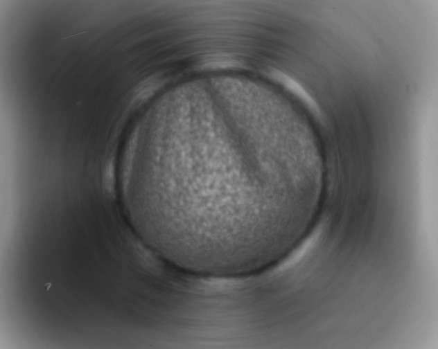 X0000092080777200709262103