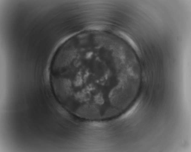 X0000092080779200709262103