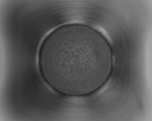 X0000092080780200709262103