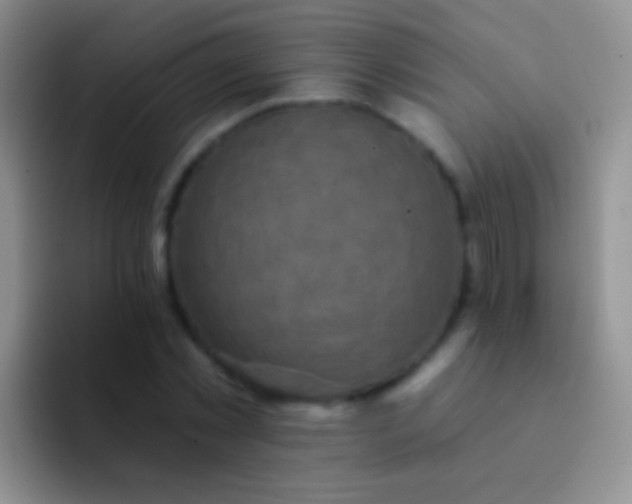 X0000092080781200709262103