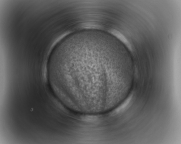 X0000092080782200709262103