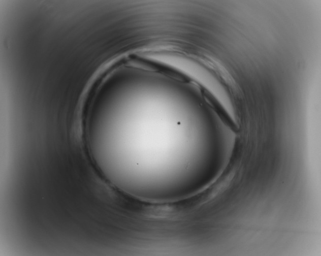 X0000092080784200709262103