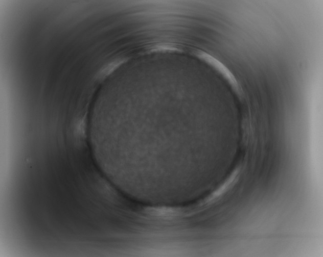 X0000092080785200709262103
