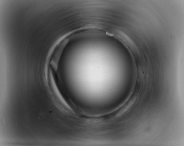 X0000092080788200709262103