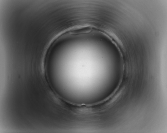 X0000092080789200709262103