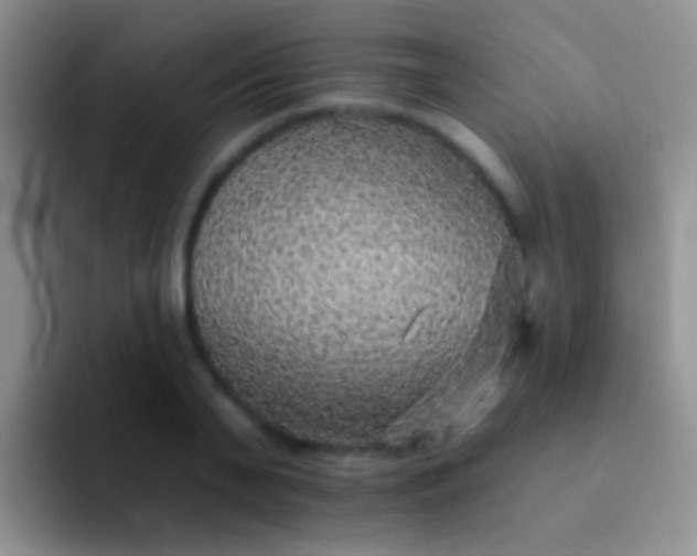 X0000092080791200709262103