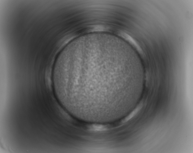 X0000092080794200709262103