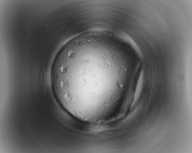 X0000092080795200709262103