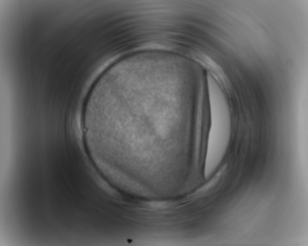 X0000092080796200709262103