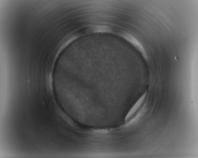 X0000092080798200709262103