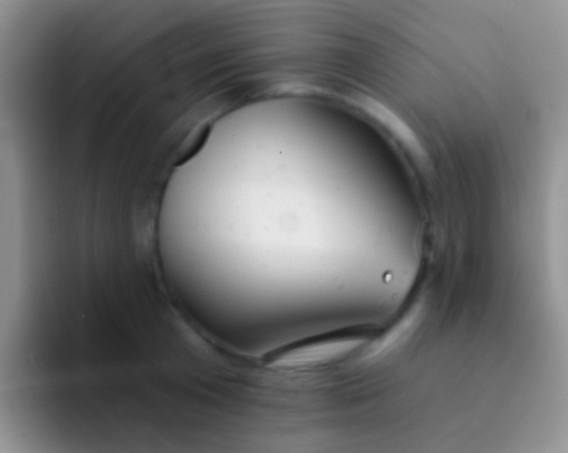 X0000092080801200709262103