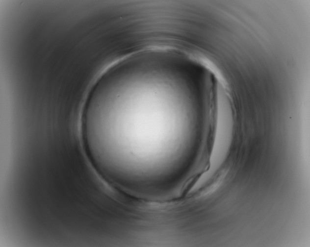 X0000092080803200709262103