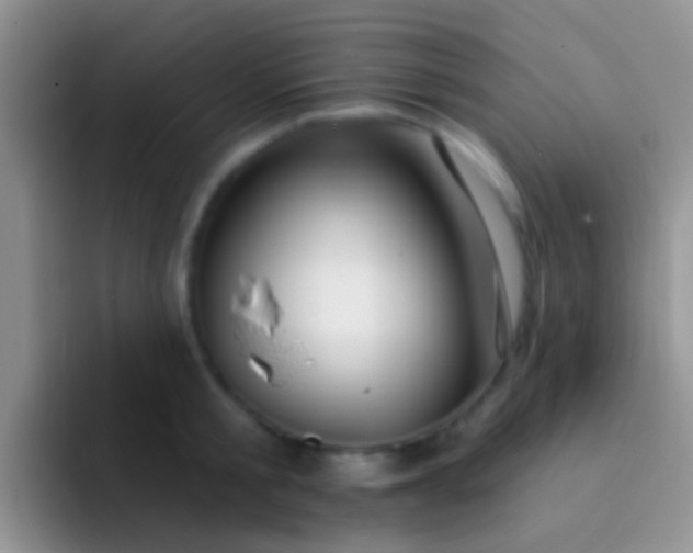 X0000092080805200709262103