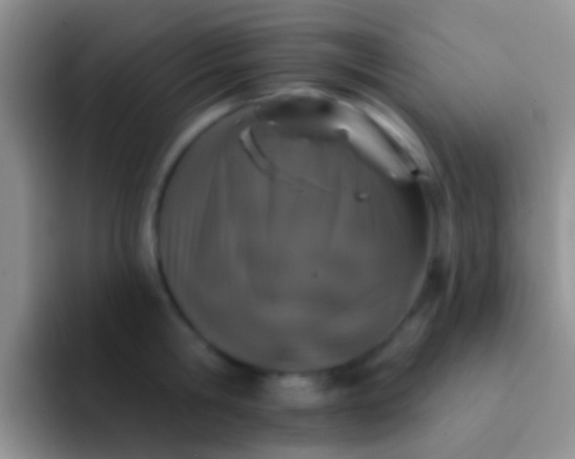 X0000092080806200709262103