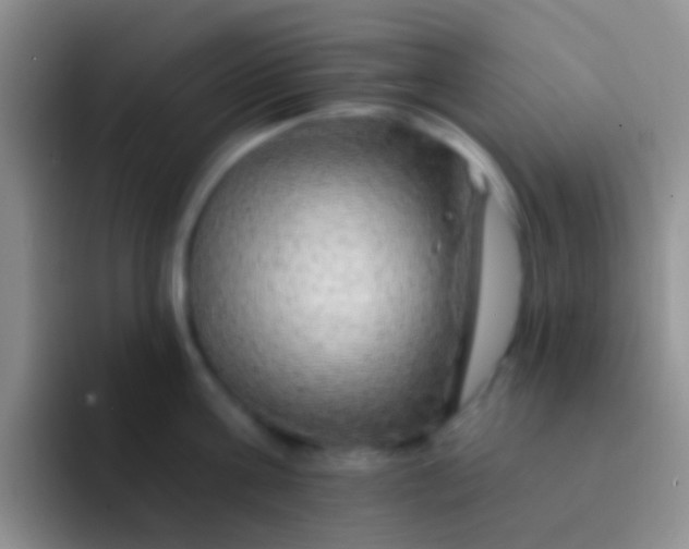 X0000092080811200709262103