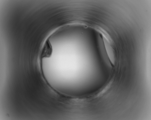 X0000092080812200709262103