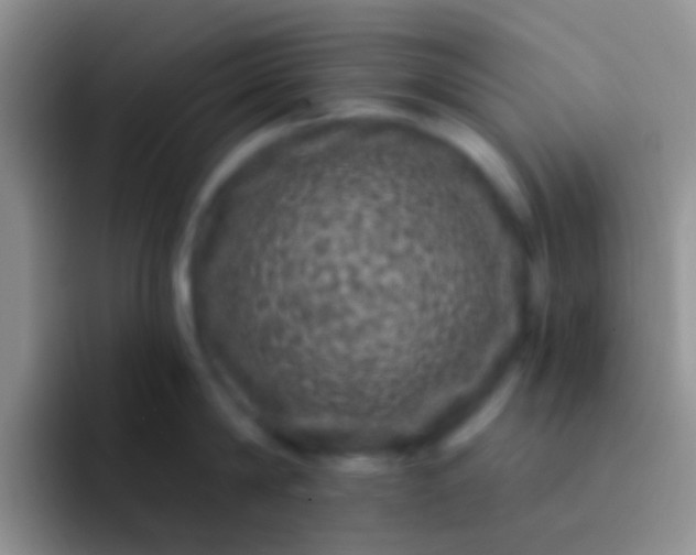 X0000092080814200709262103