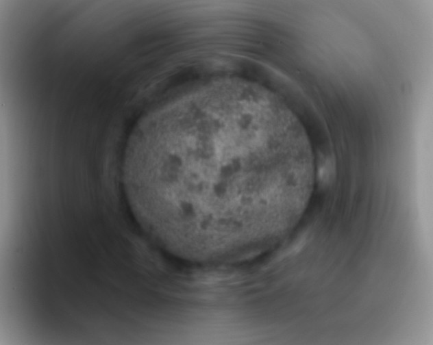 X0000092080819200709262102