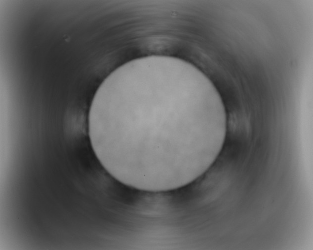 X0000092080820200709262102