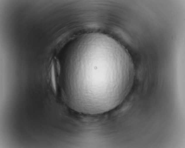 X0000092080821200709262102