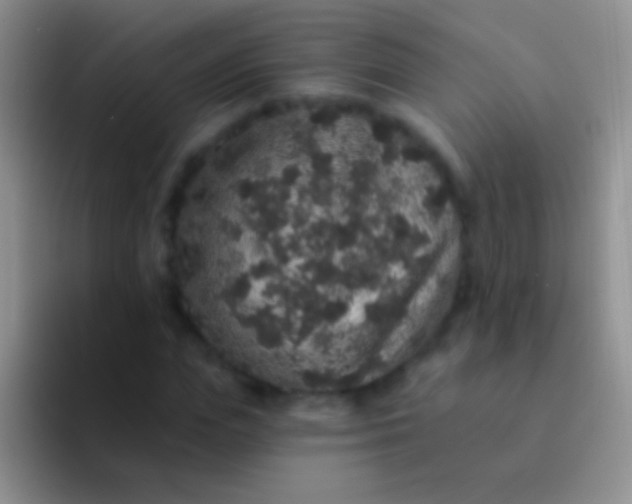 X0000092080823200709262102
