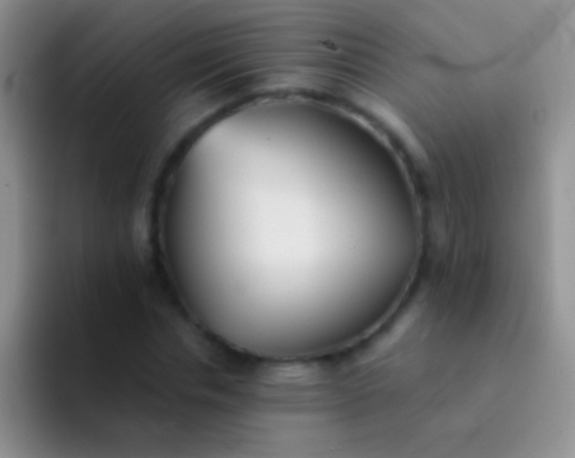 X0000092080826200709262102