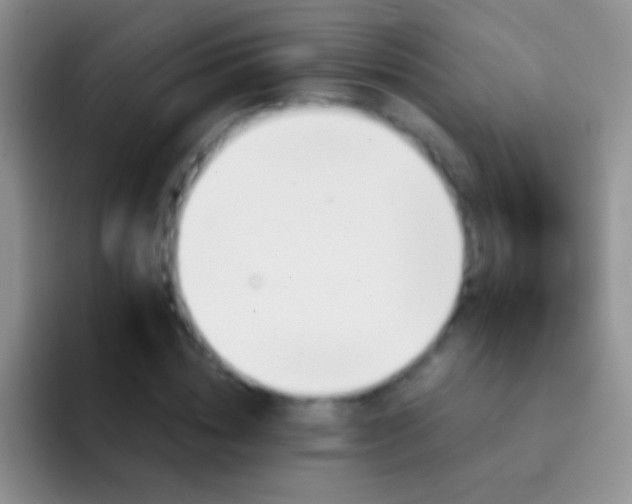 X0000092080828200709262102