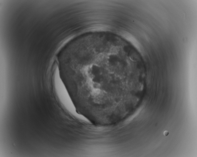X0000092080829200709262102