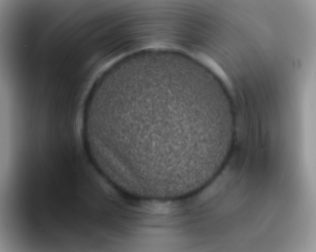 X0000092080831200709262102