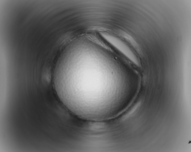 X0000092080833200709262102