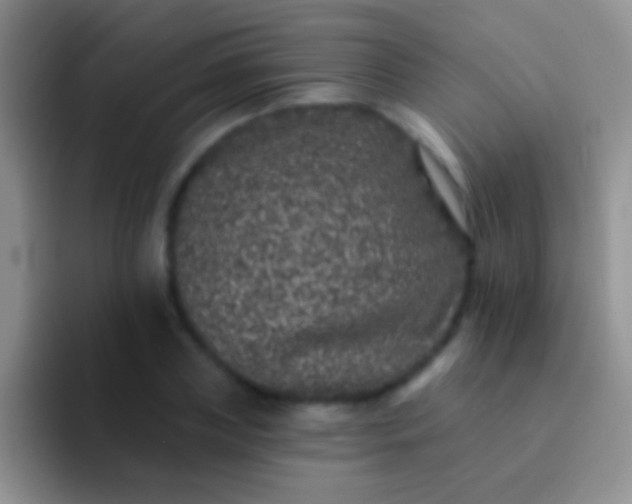 X0000092080835200709262102
