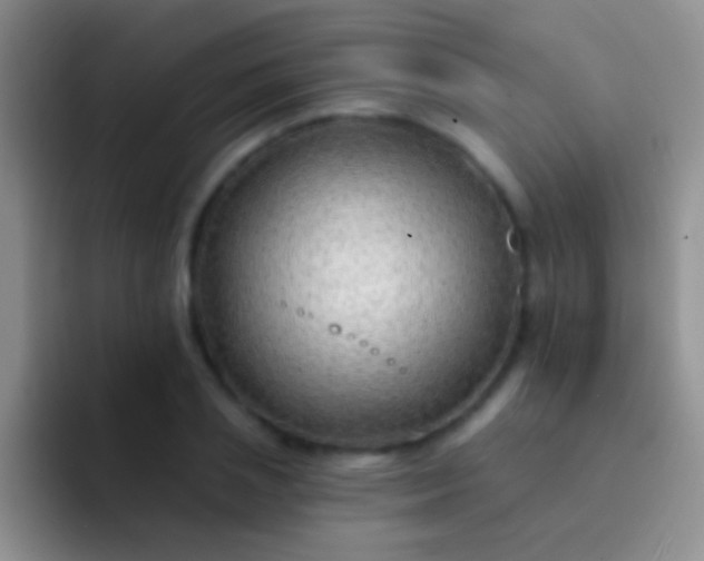 X0000092080837200709262102