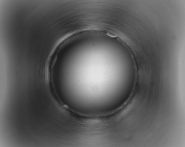 X0000092080838200709262102