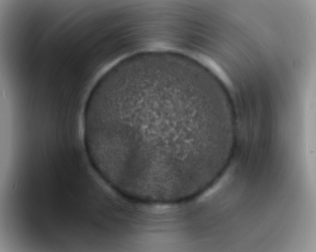 X0000092080839200709262102