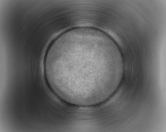 X0000092080840200709262102