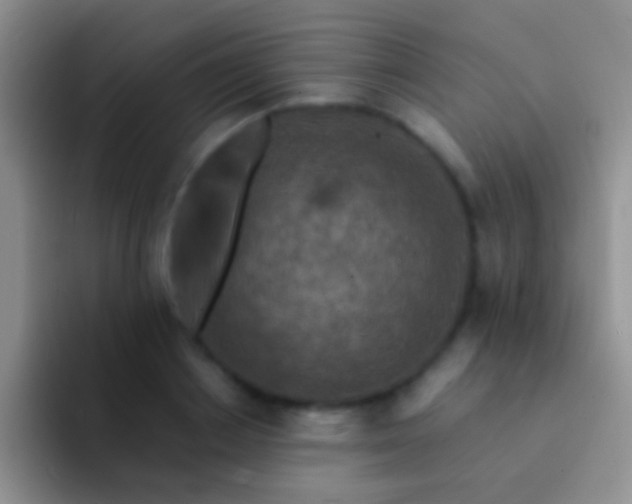 X0000092080842200709262102