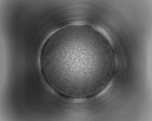 X0000092080843200709262102