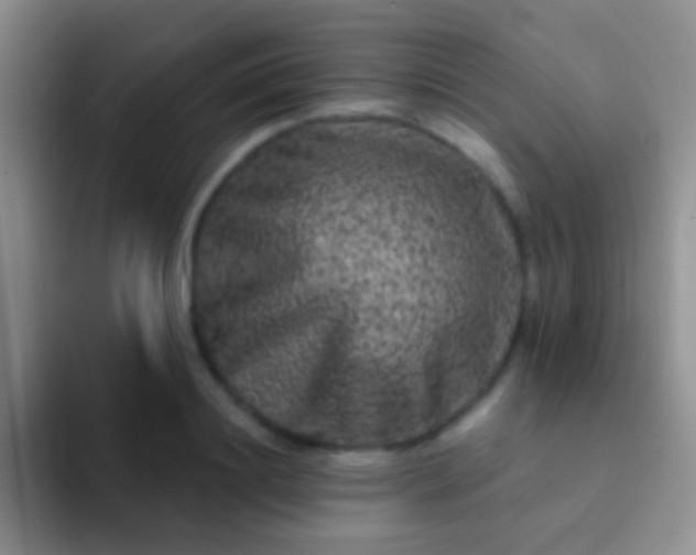X0000092080844200709262102