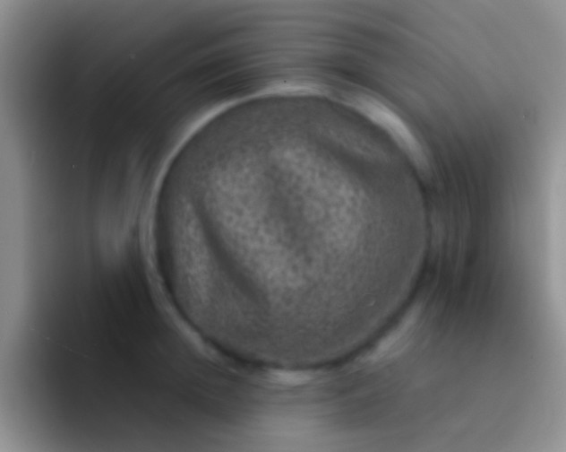 X0000092080852200709262103