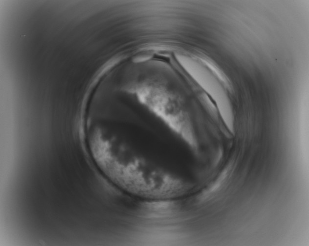 X0000092080853200709262103
